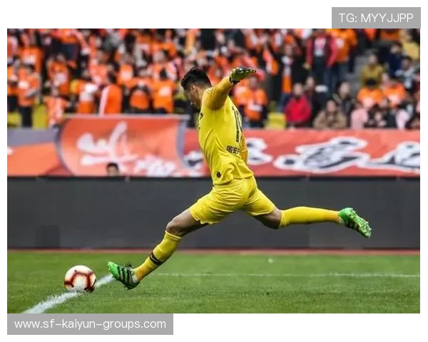 中超青训营国际化合作项目策划书模板